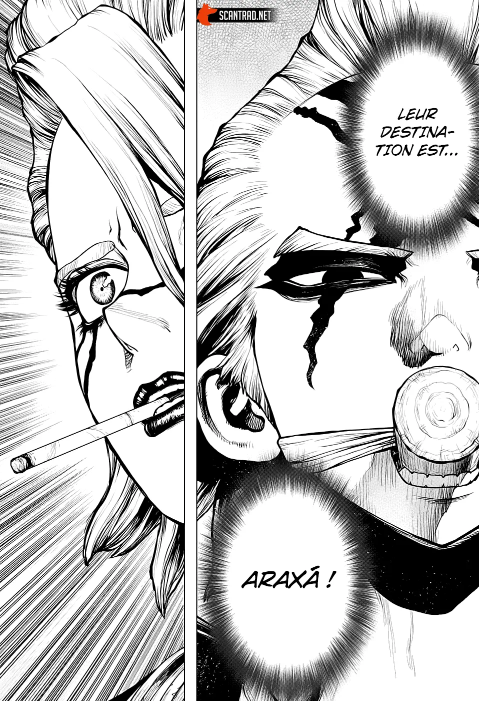 Read Dr. Stone FR Manga Online