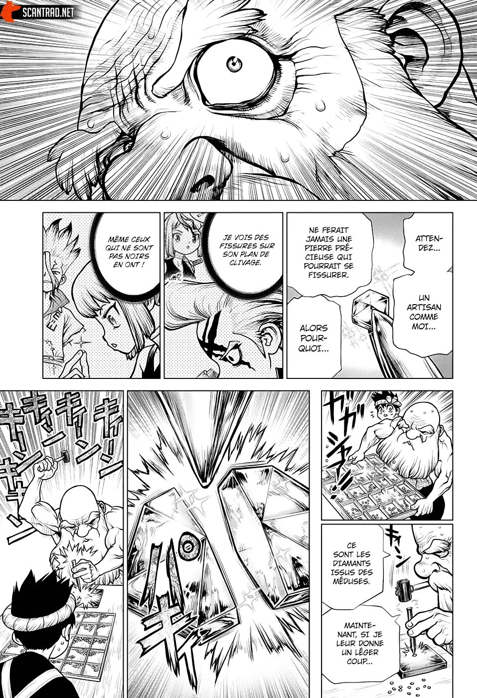 Read Dr. Stone FR Manga Online