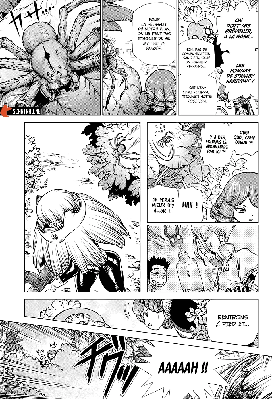 Read Dr. Stone FR Manga Online