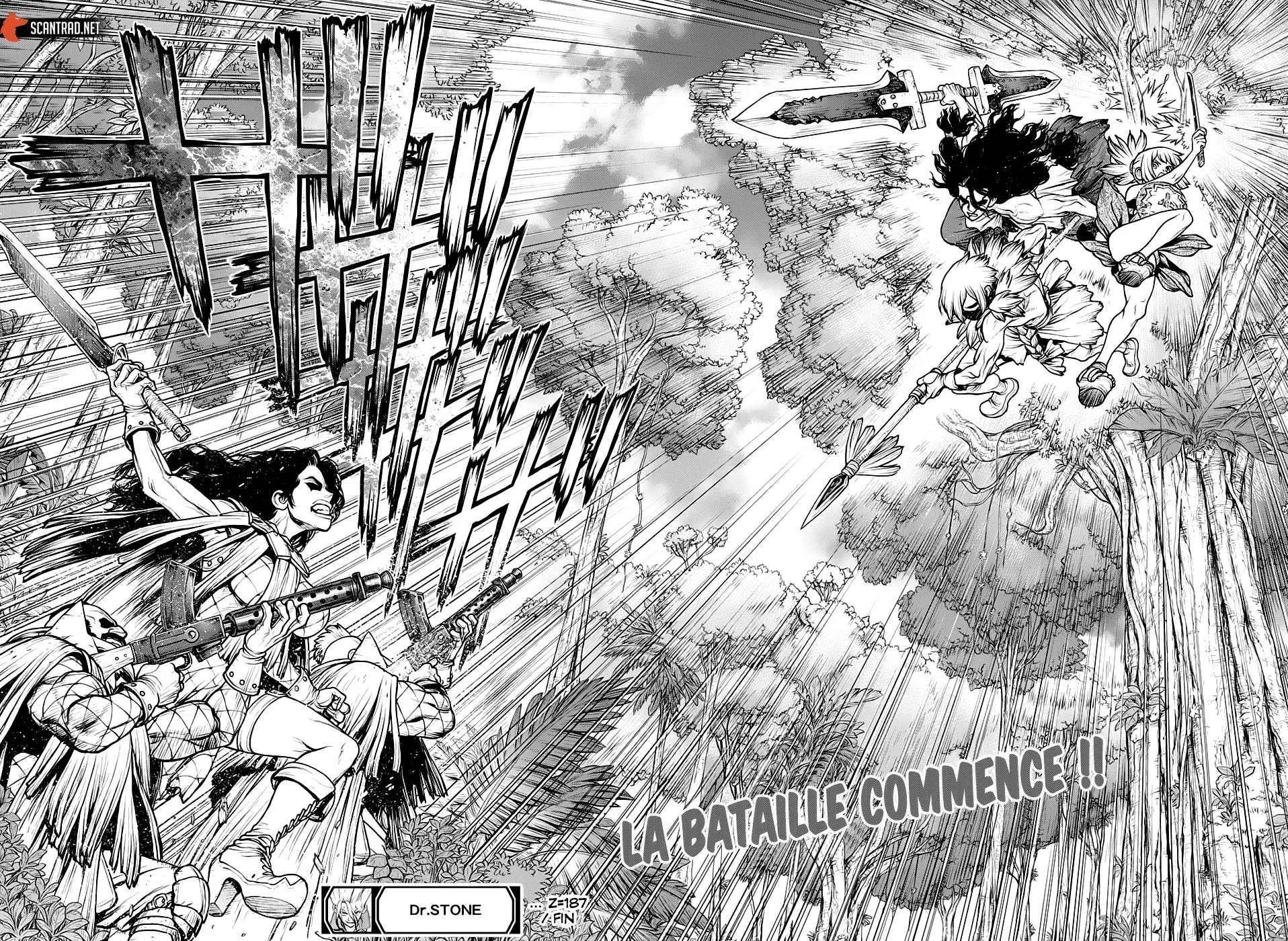 Read Dr. Stone FR Manga Online