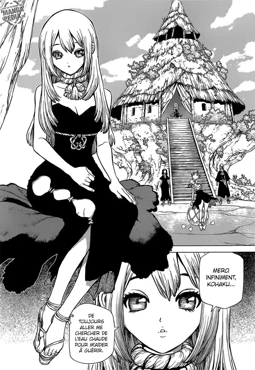 Read Dr. Stone FR Manga Online