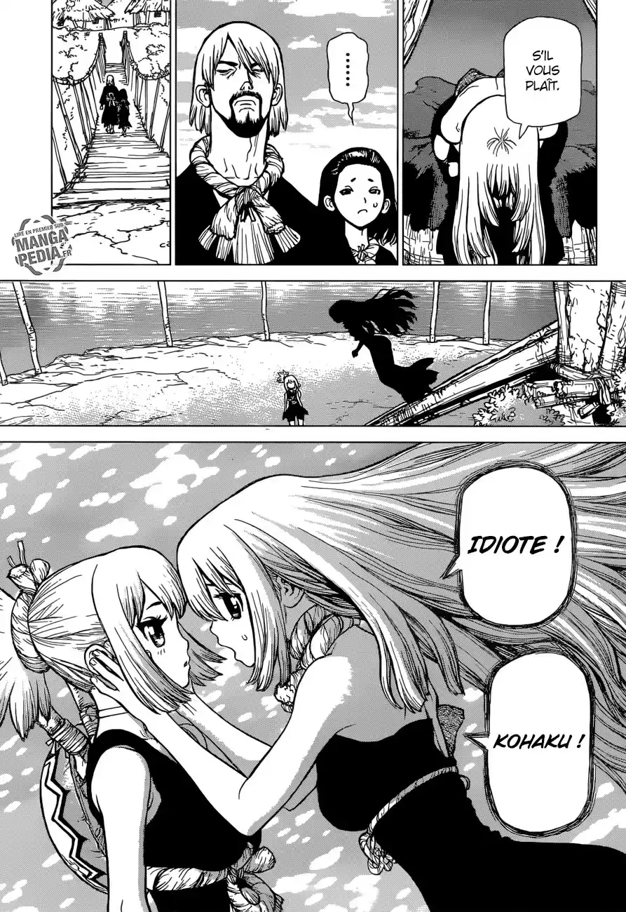 Read Dr. Stone FR Manga Online