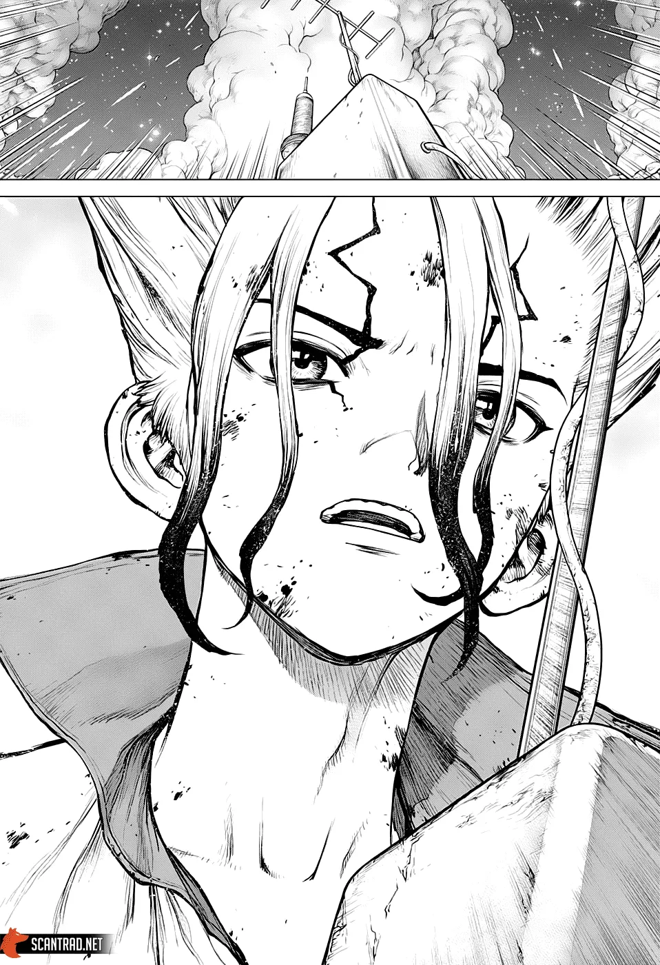 Read Dr. Stone FR Manga Online