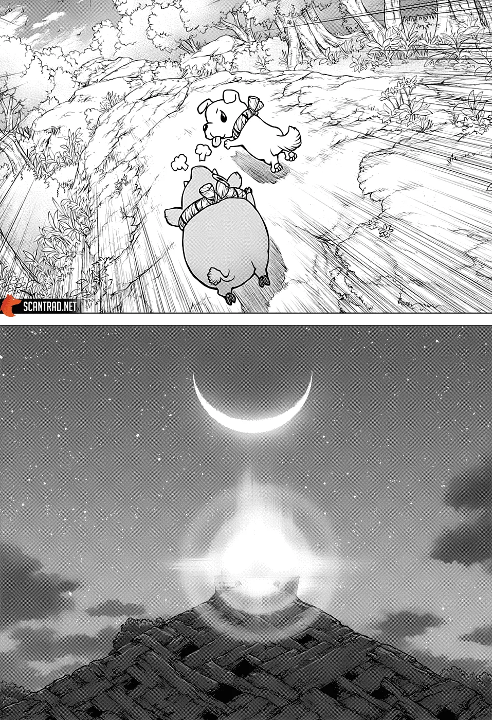 Read Dr. Stone FR Manga Online