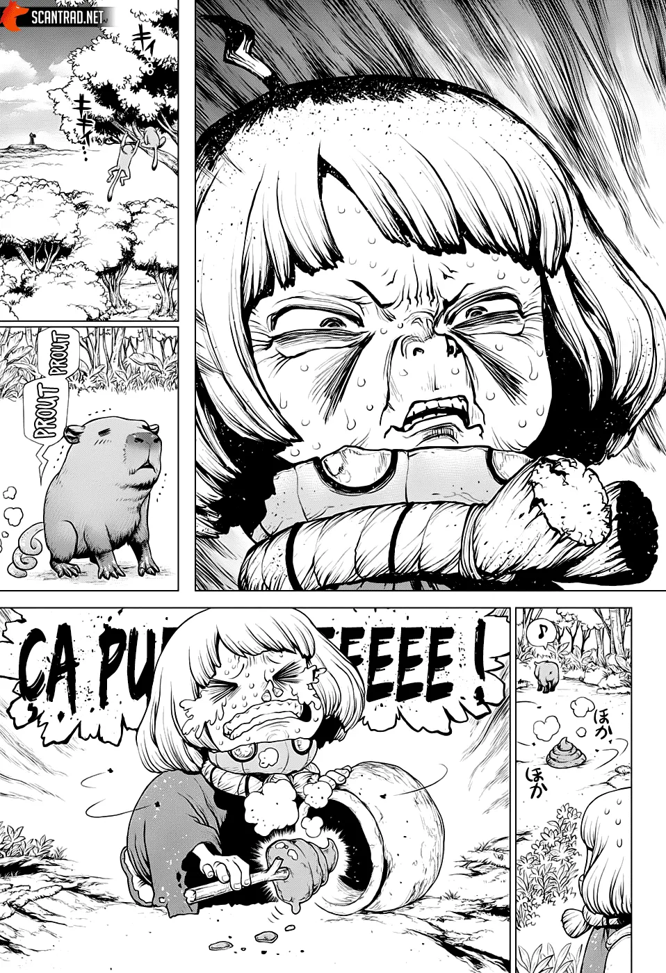 Read Dr. Stone FR Manga Online
