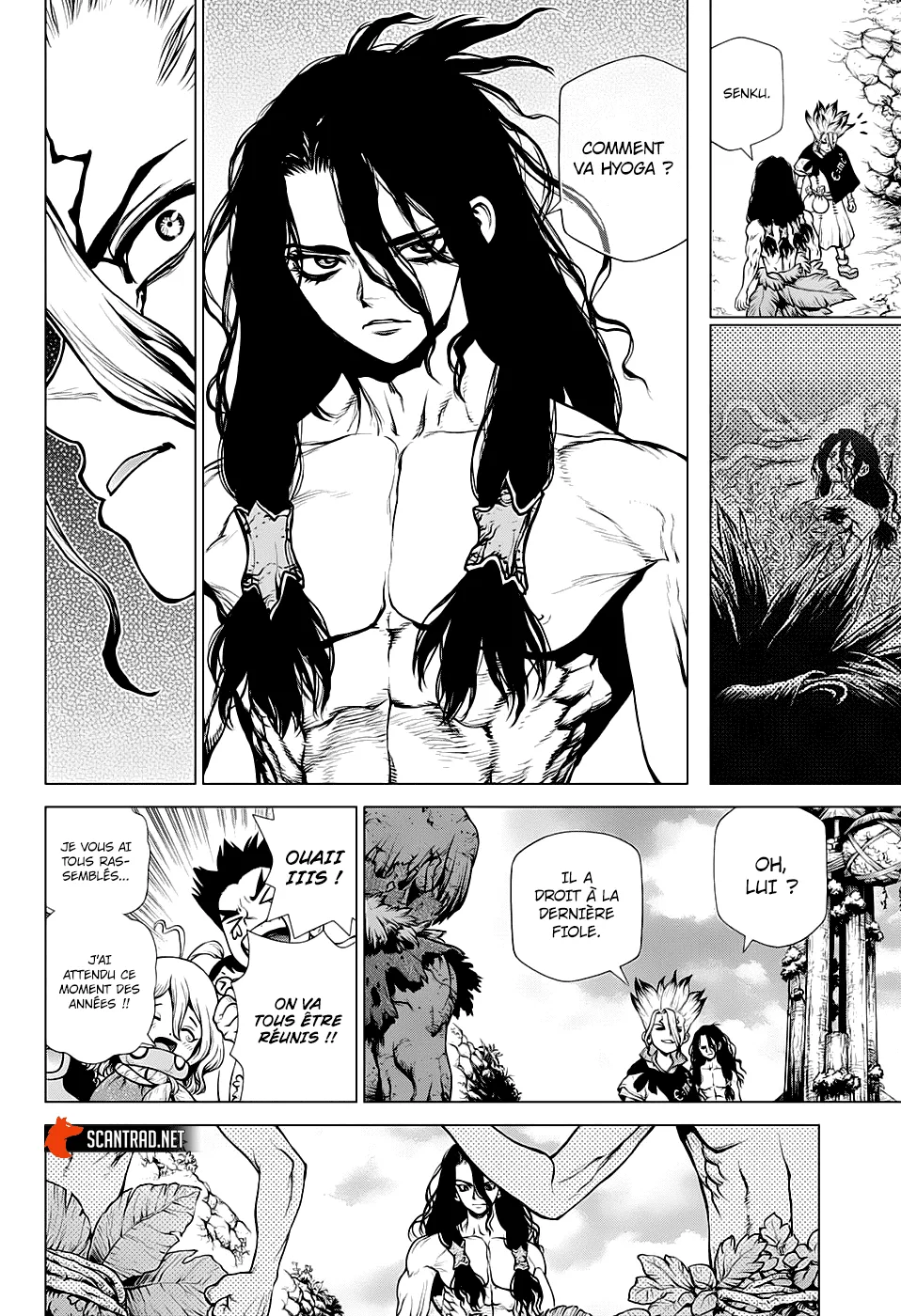 Read Dr. Stone FR Manga Online