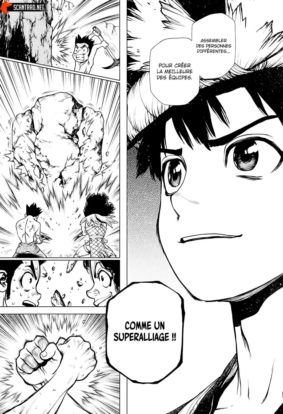 Read Dr. Stone FR Manga Online