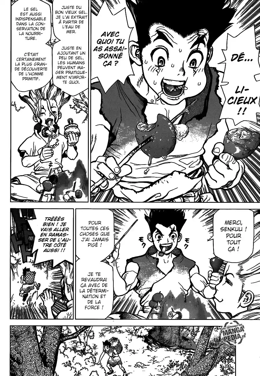 Read Dr. Stone FR Manga Online