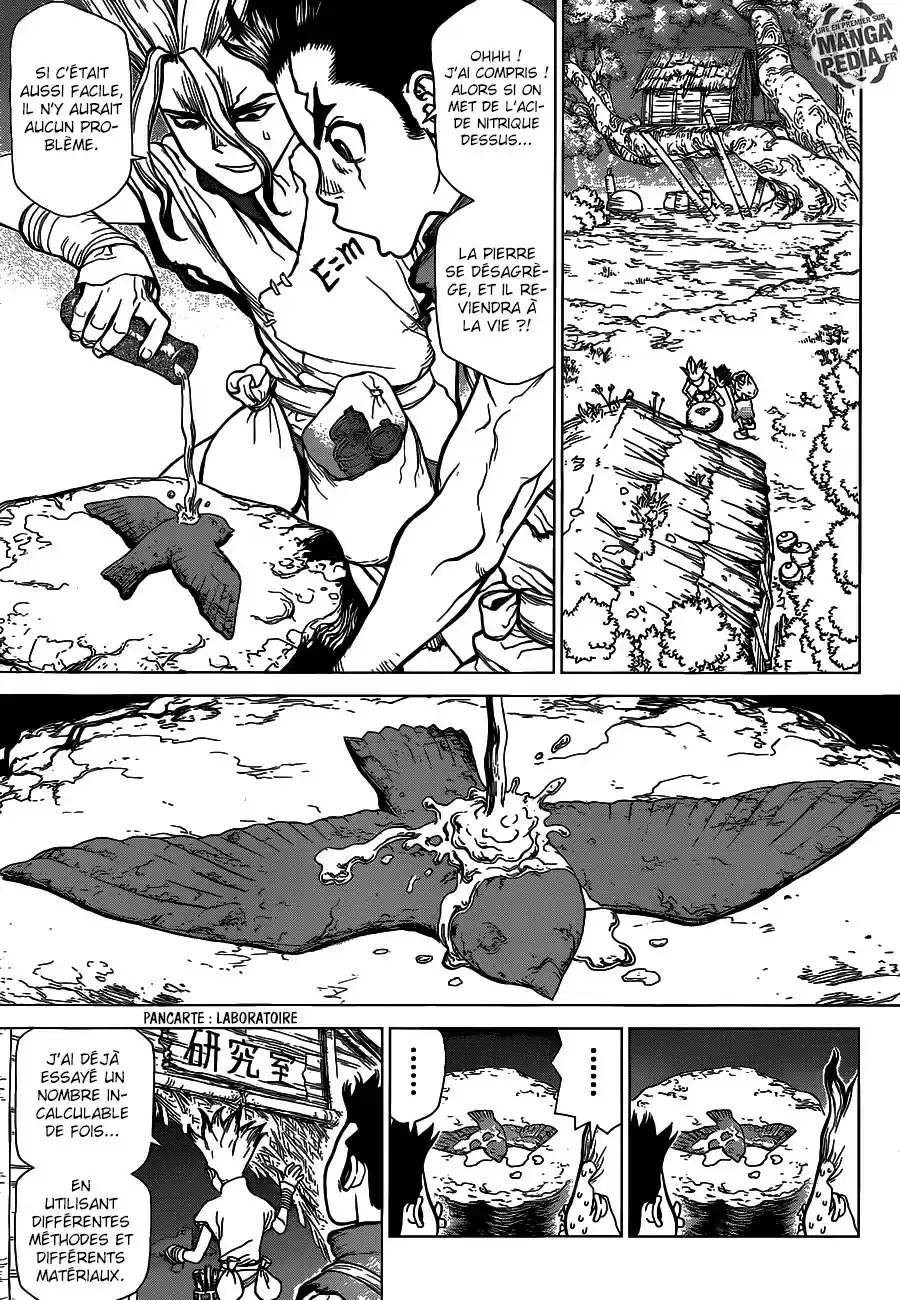 Read Dr. Stone FR Manga Online