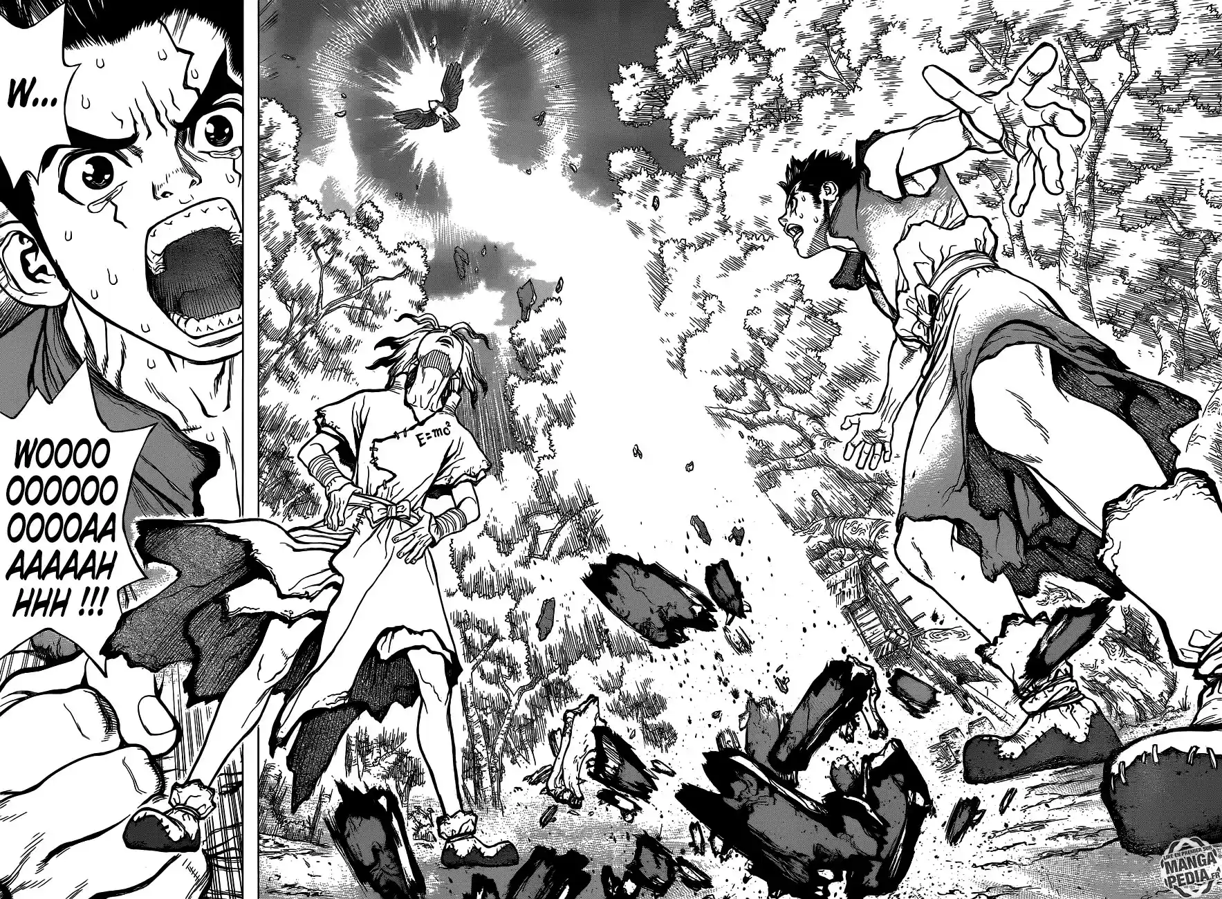 Read Dr. Stone FR Manga Online