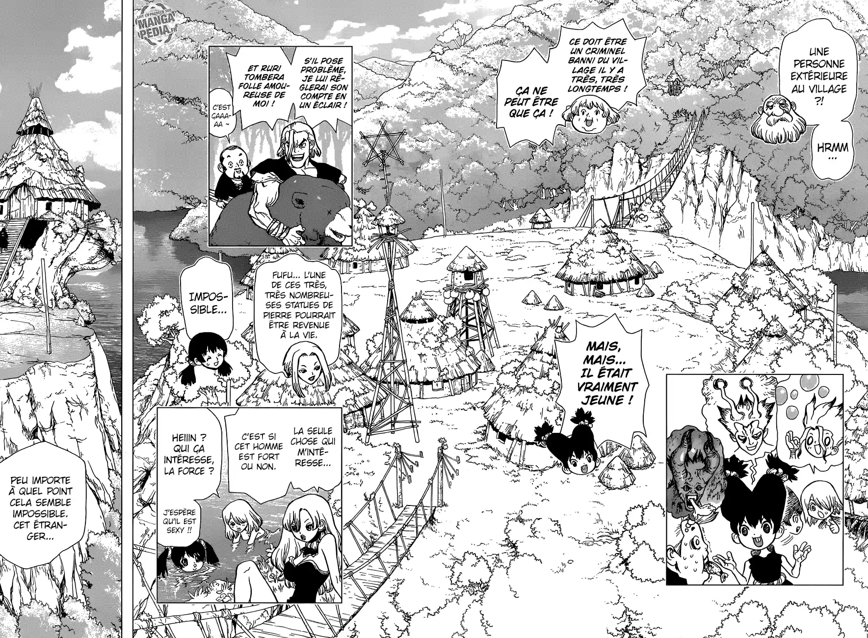 Read Dr. Stone FR Manga Online