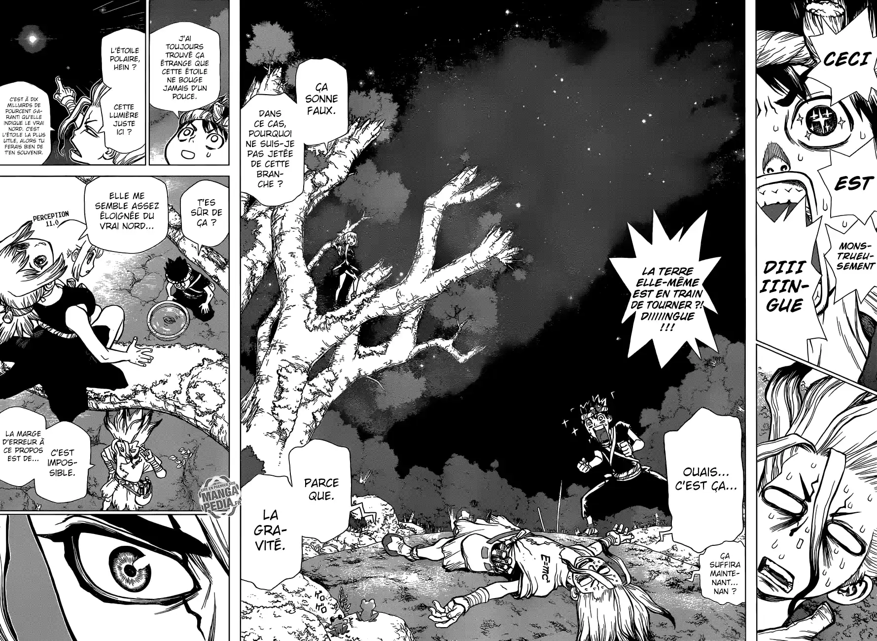 Read Dr. Stone FR Manga Online