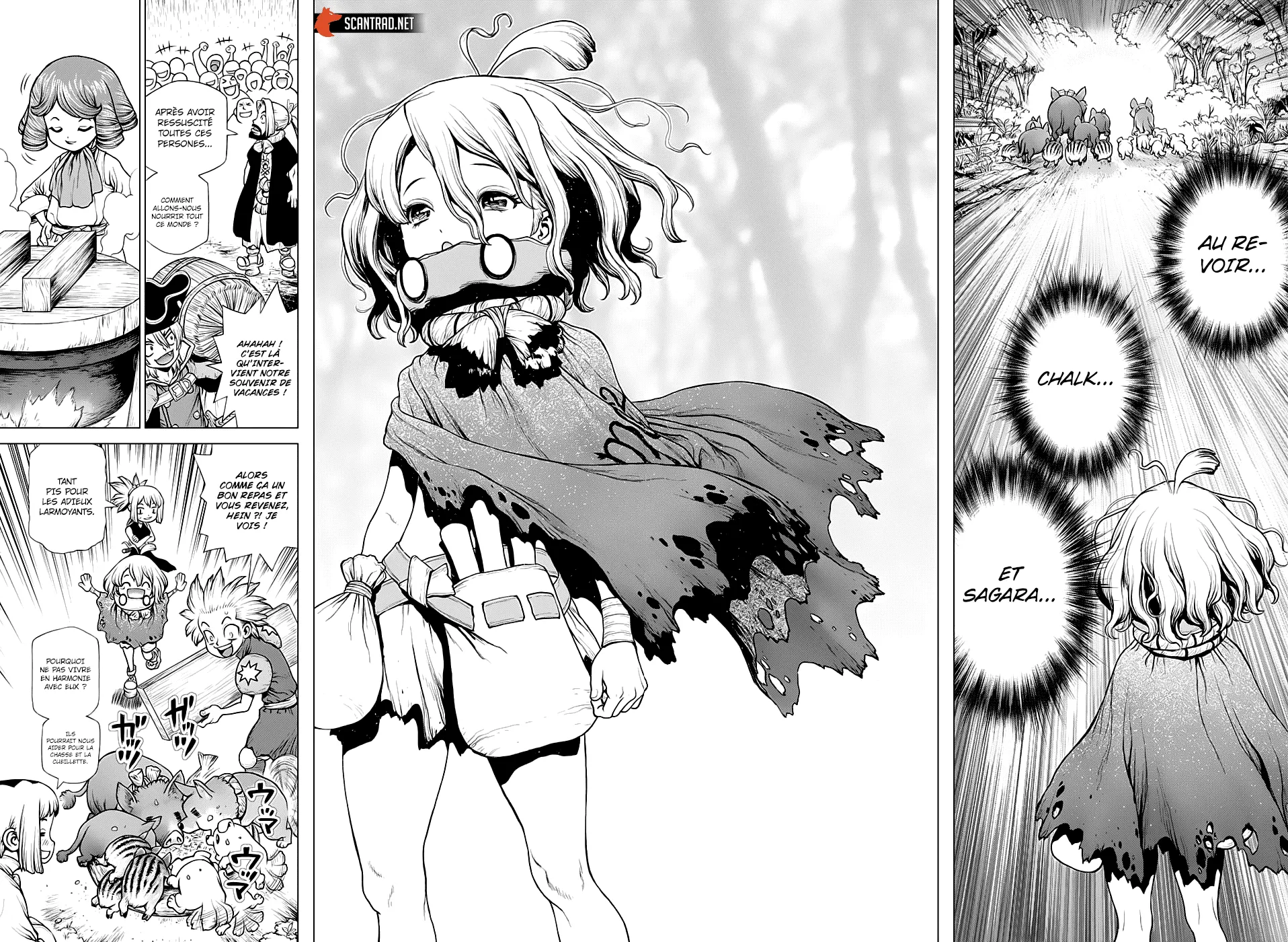 Read Dr. Stone FR Manga Online