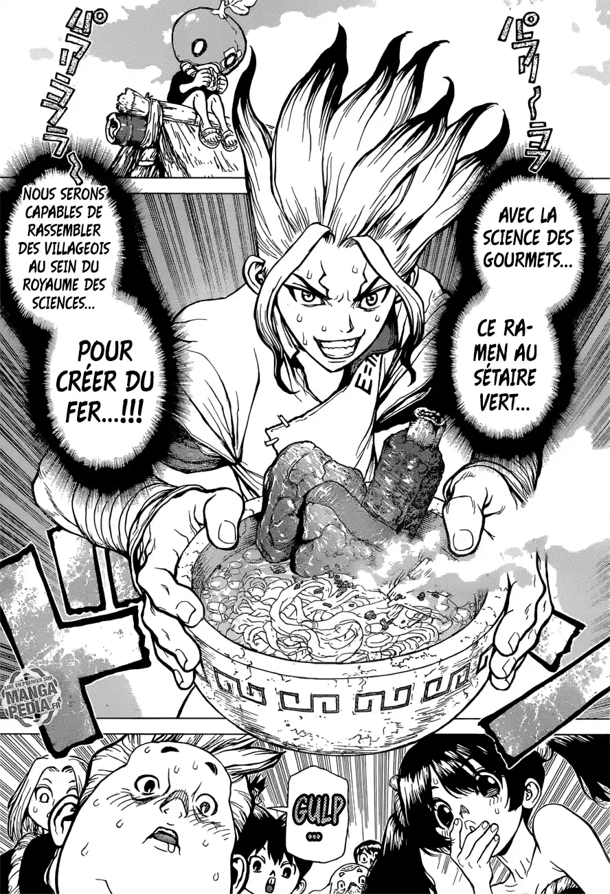 Read Dr. Stone FR Manga Online