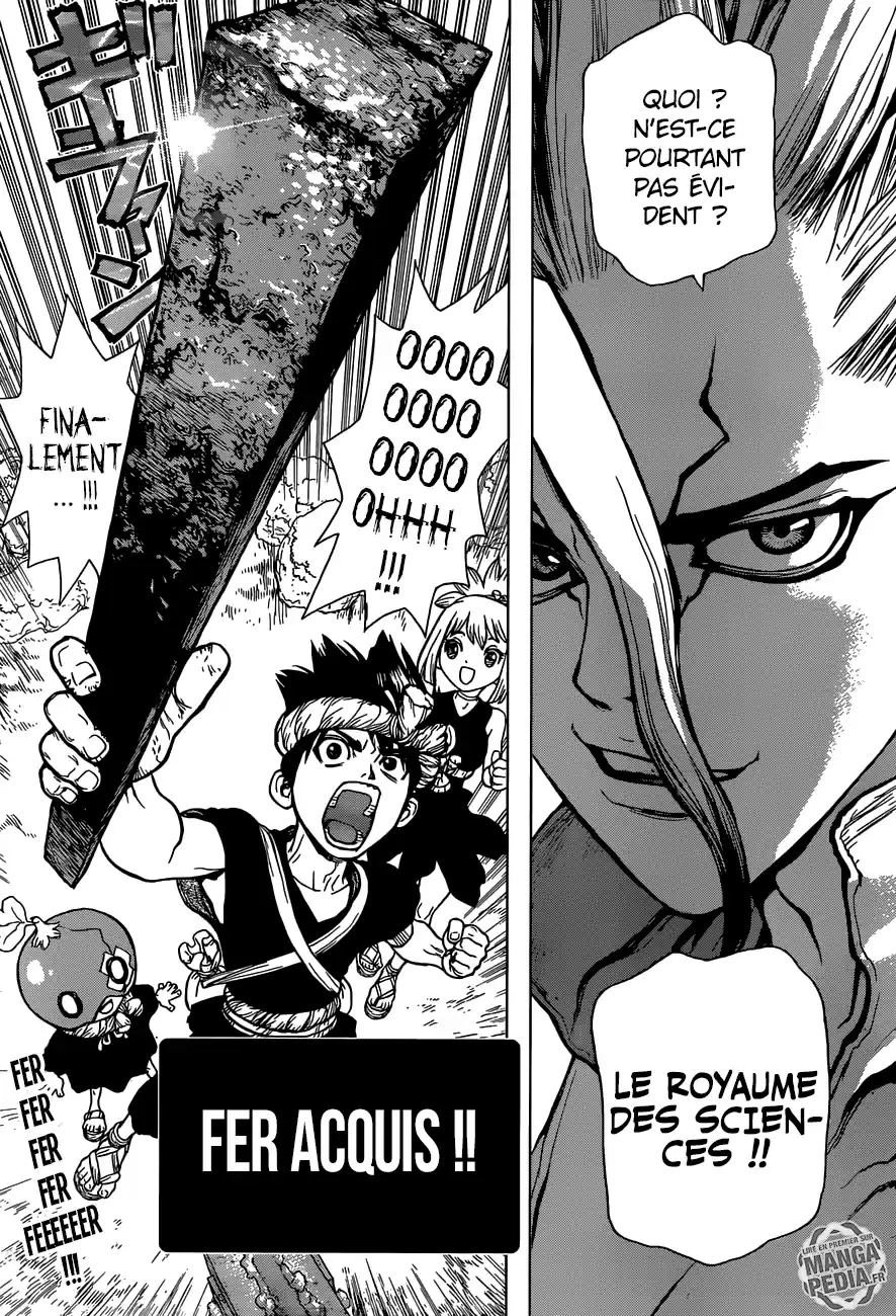 Read Dr. Stone FR Manga Online