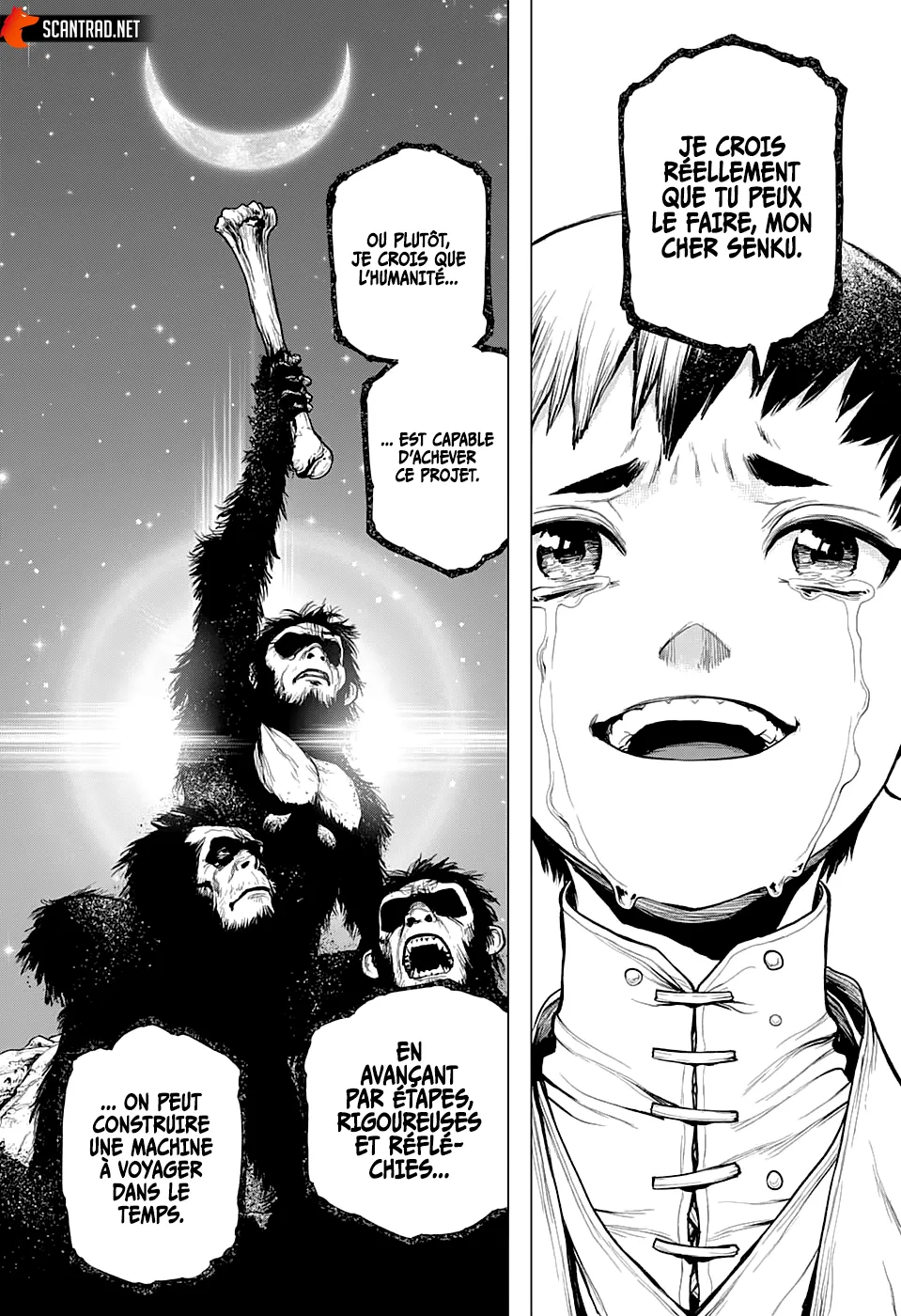 Read Dr. Stone FR Manga Online