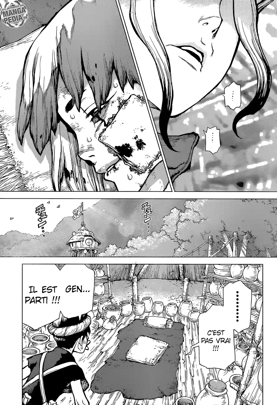 Read Dr. Stone FR Manga Online