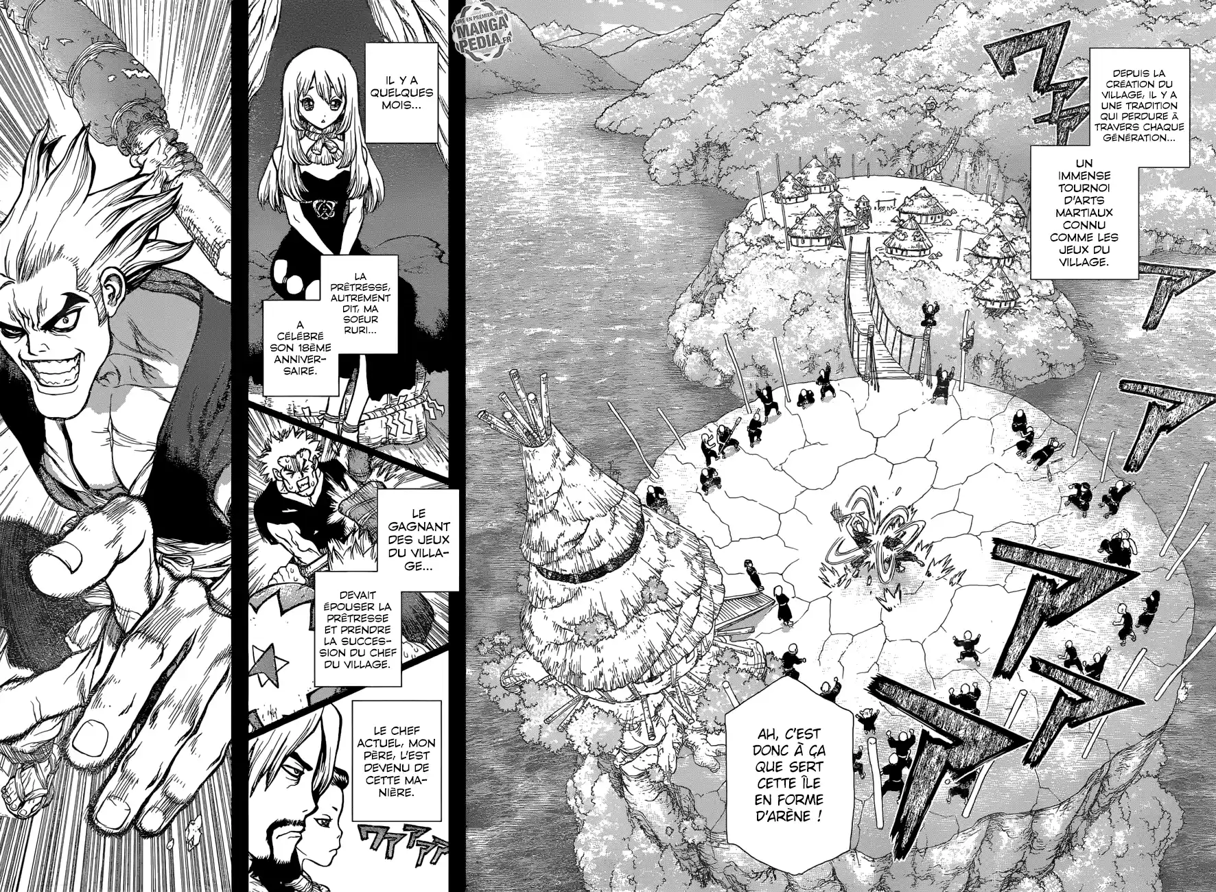 Read Dr. Stone FR Manga Online