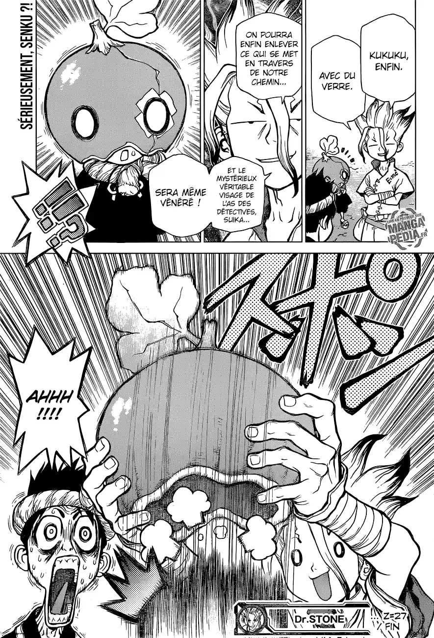 Read Dr. Stone FR Manga Online