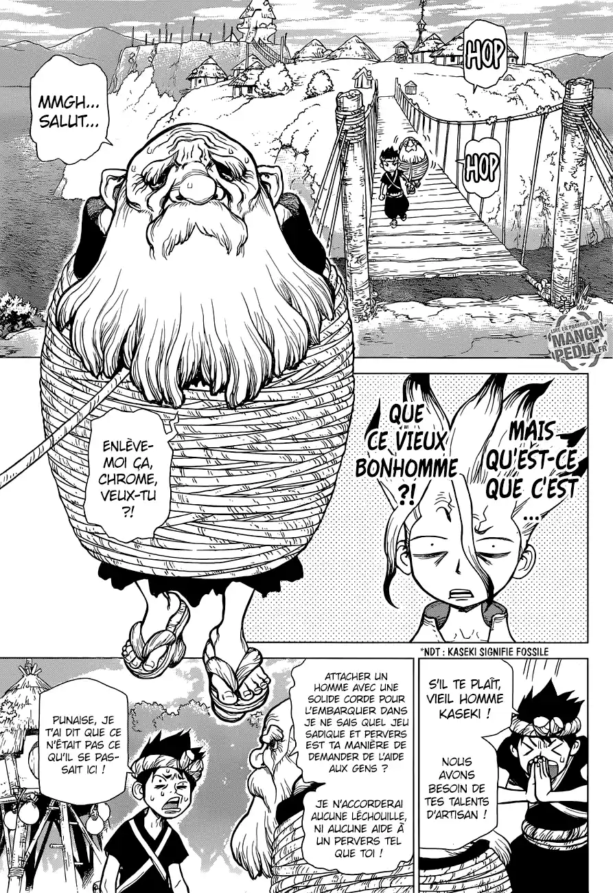 Read Dr. Stone FR Manga Online