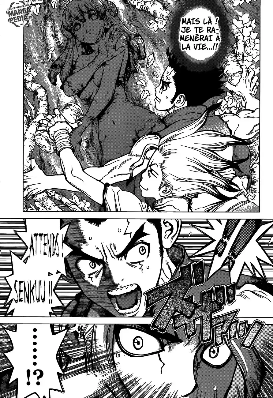 Read Dr. Stone FR Manga Online