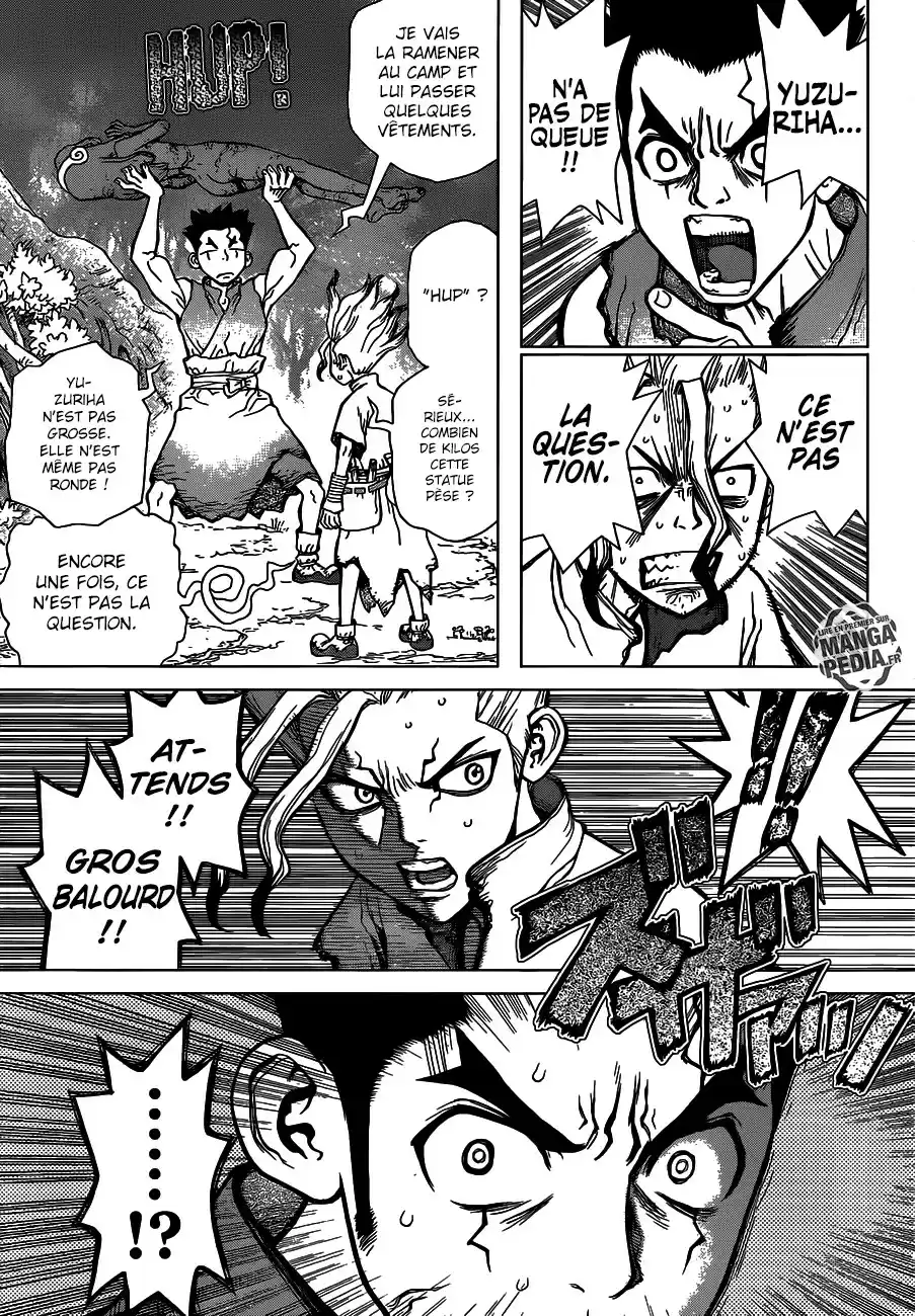 Read Dr. Stone FR Manga Online