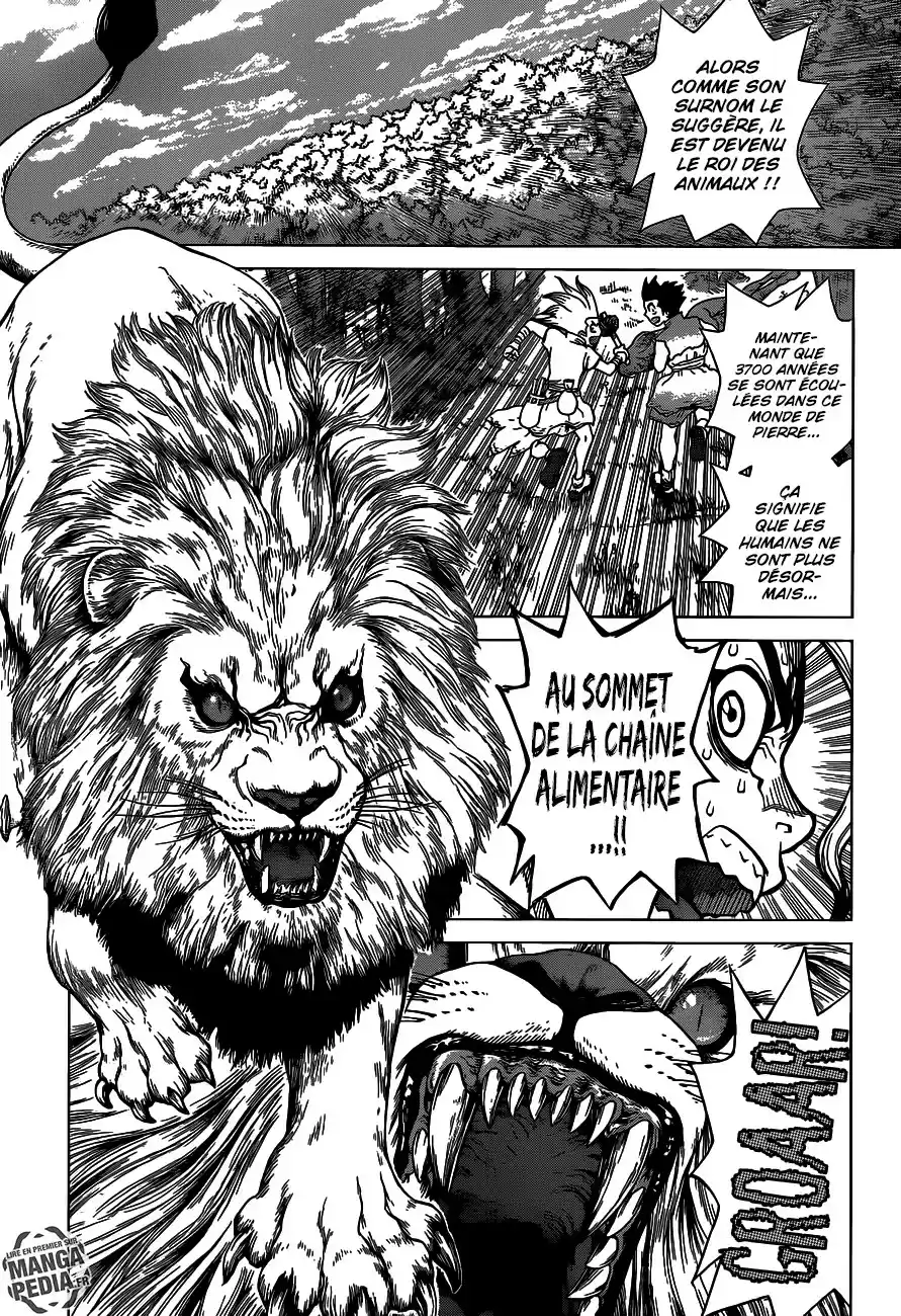 Read Dr. Stone FR Manga Online
