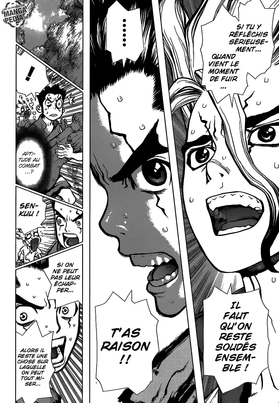Read Dr. Stone FR Manga Online