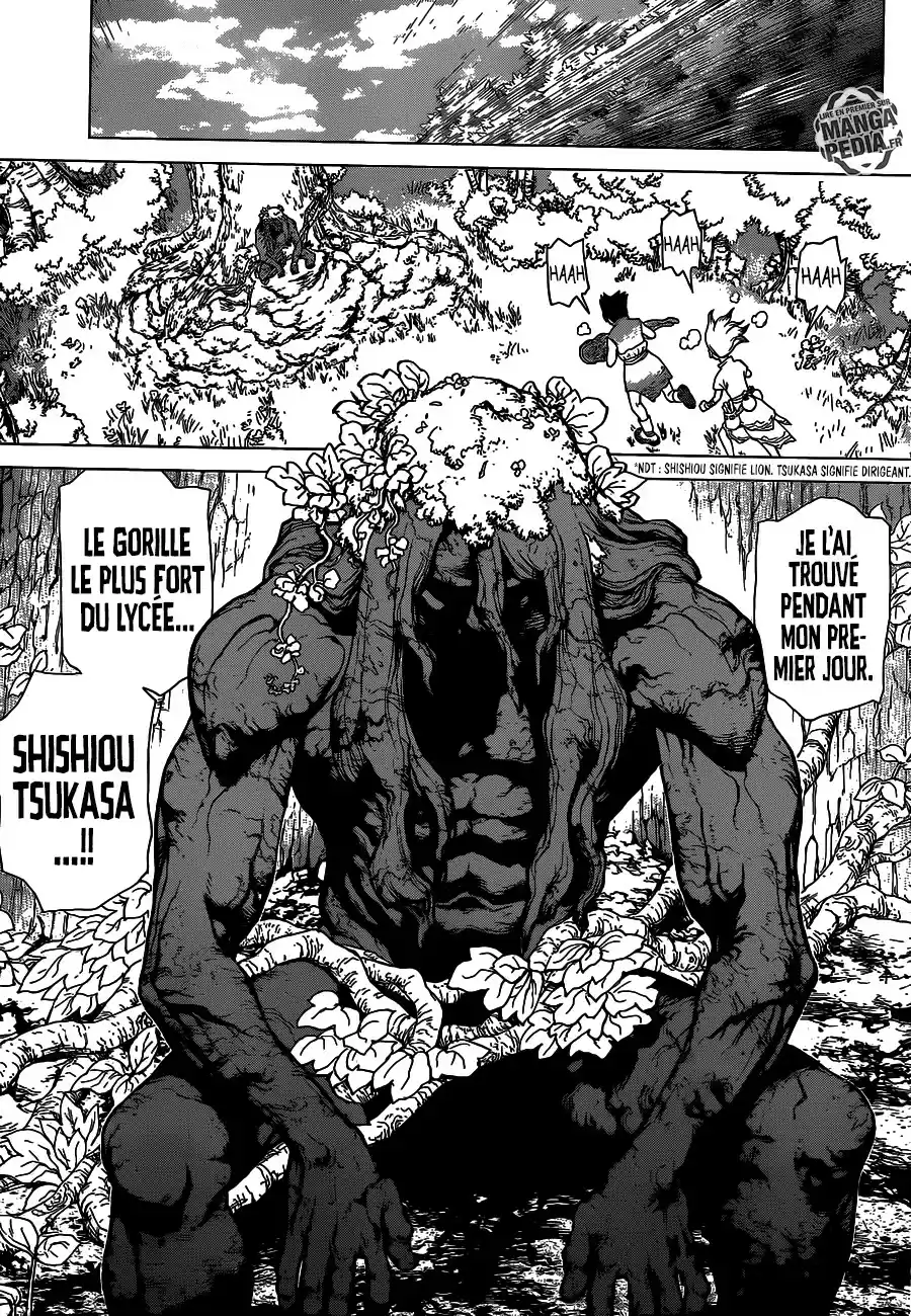 Read Dr. Stone FR Manga Online