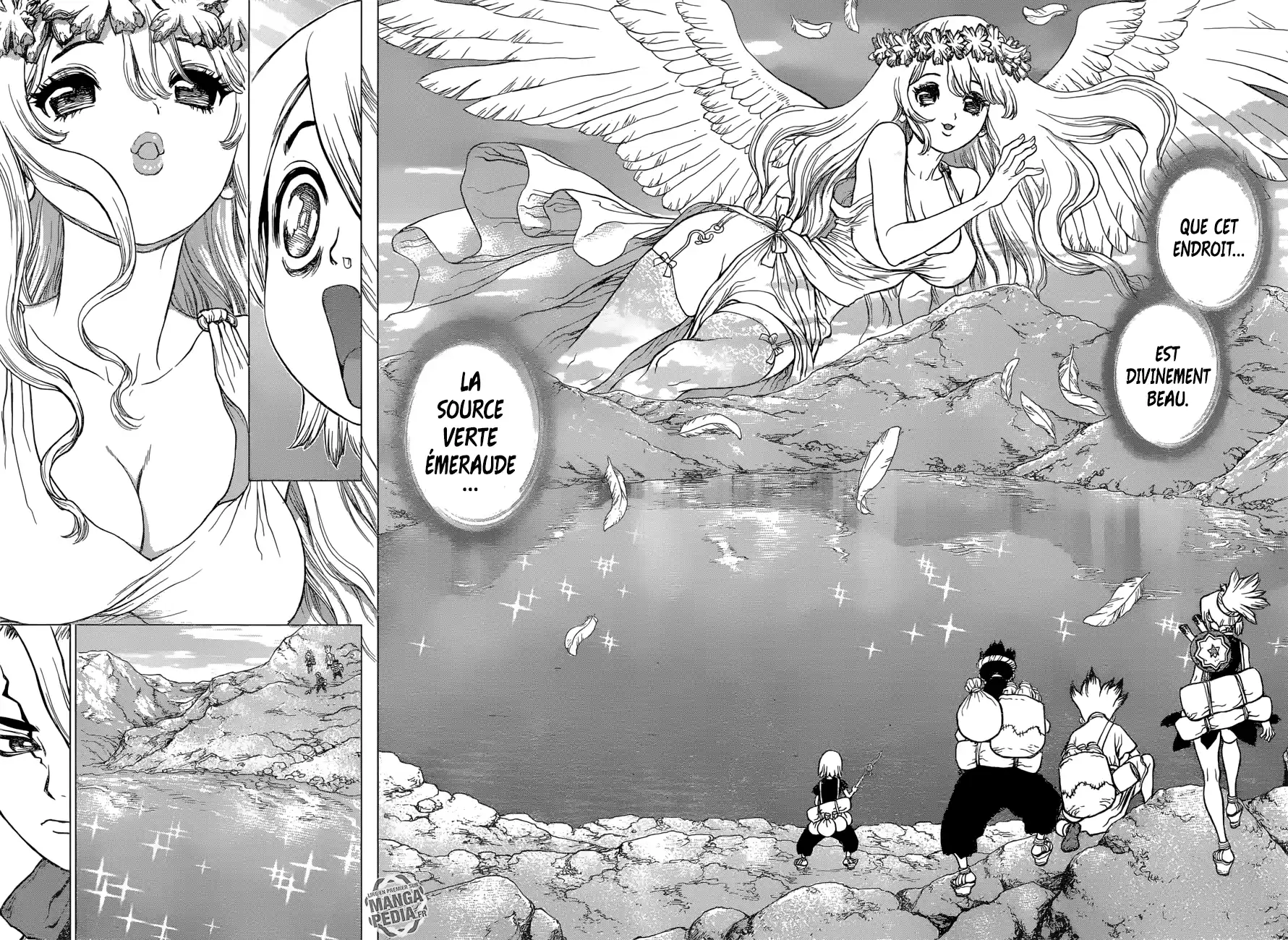 Read Dr. Stone FR Manga Online