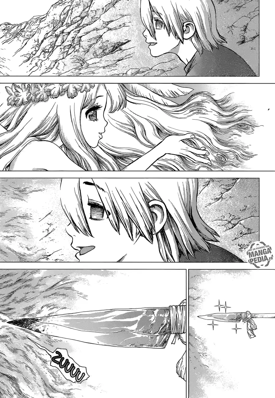Read Dr. Stone FR Manga Online