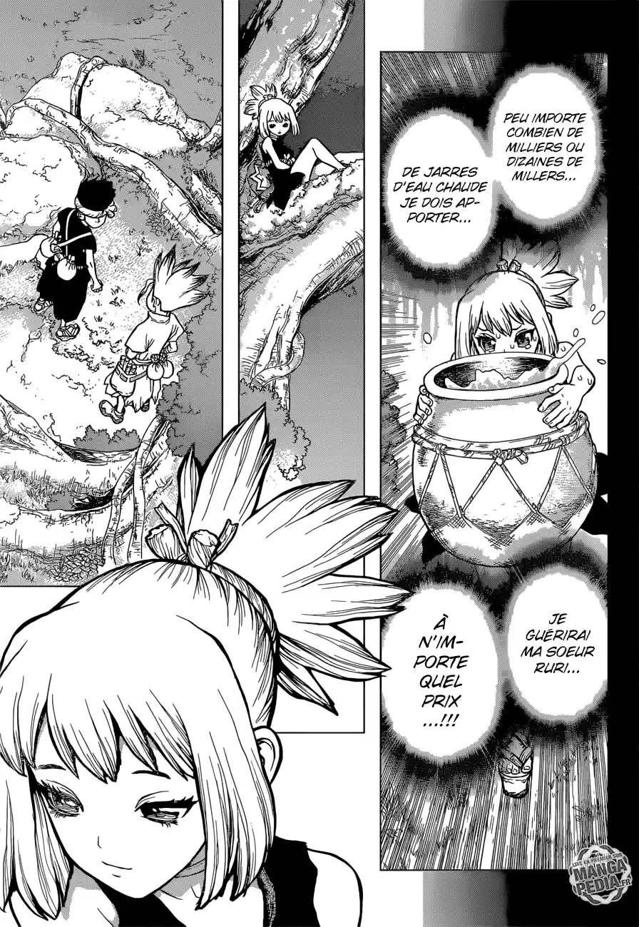 Read Dr. Stone FR Manga Online