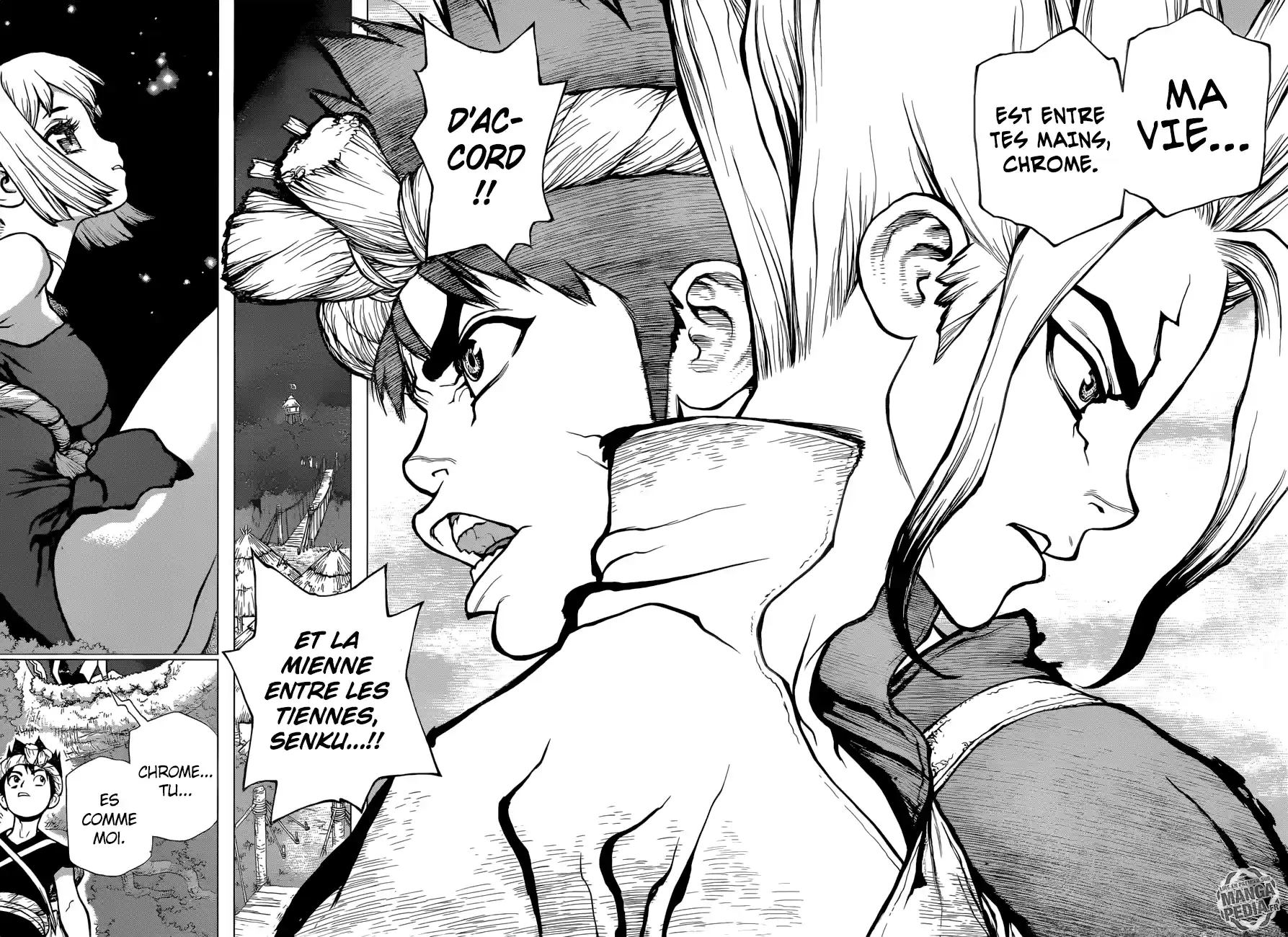 Read Dr. Stone FR Manga Online