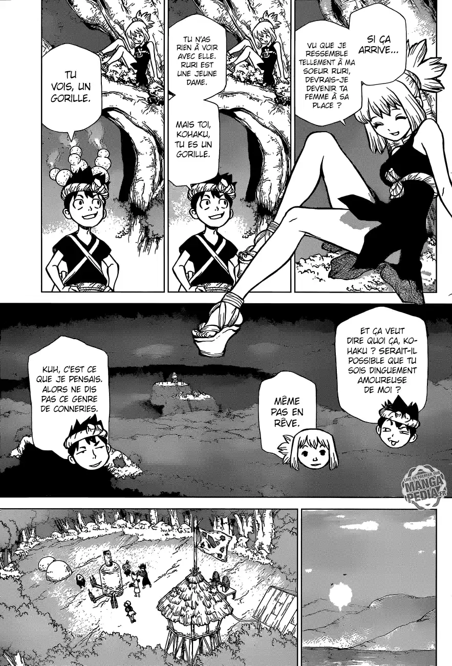 Read Dr. Stone FR Manga Online