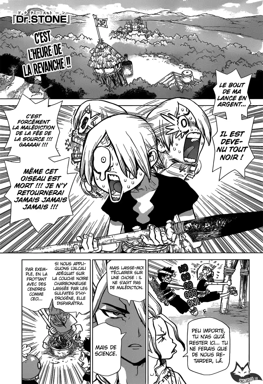 Read Dr. Stone FR Manga Online
