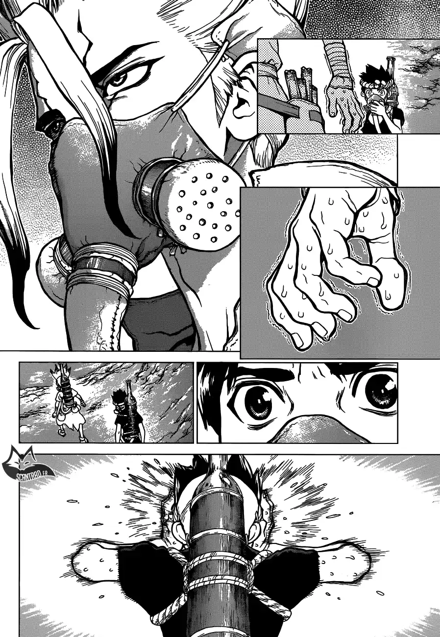 Read Dr. Stone FR Manga Online