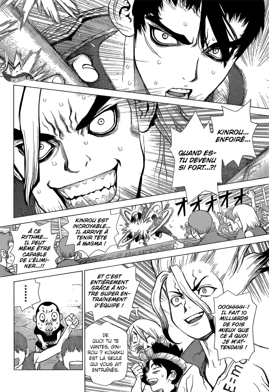 Read Dr. Stone FR Manga Online