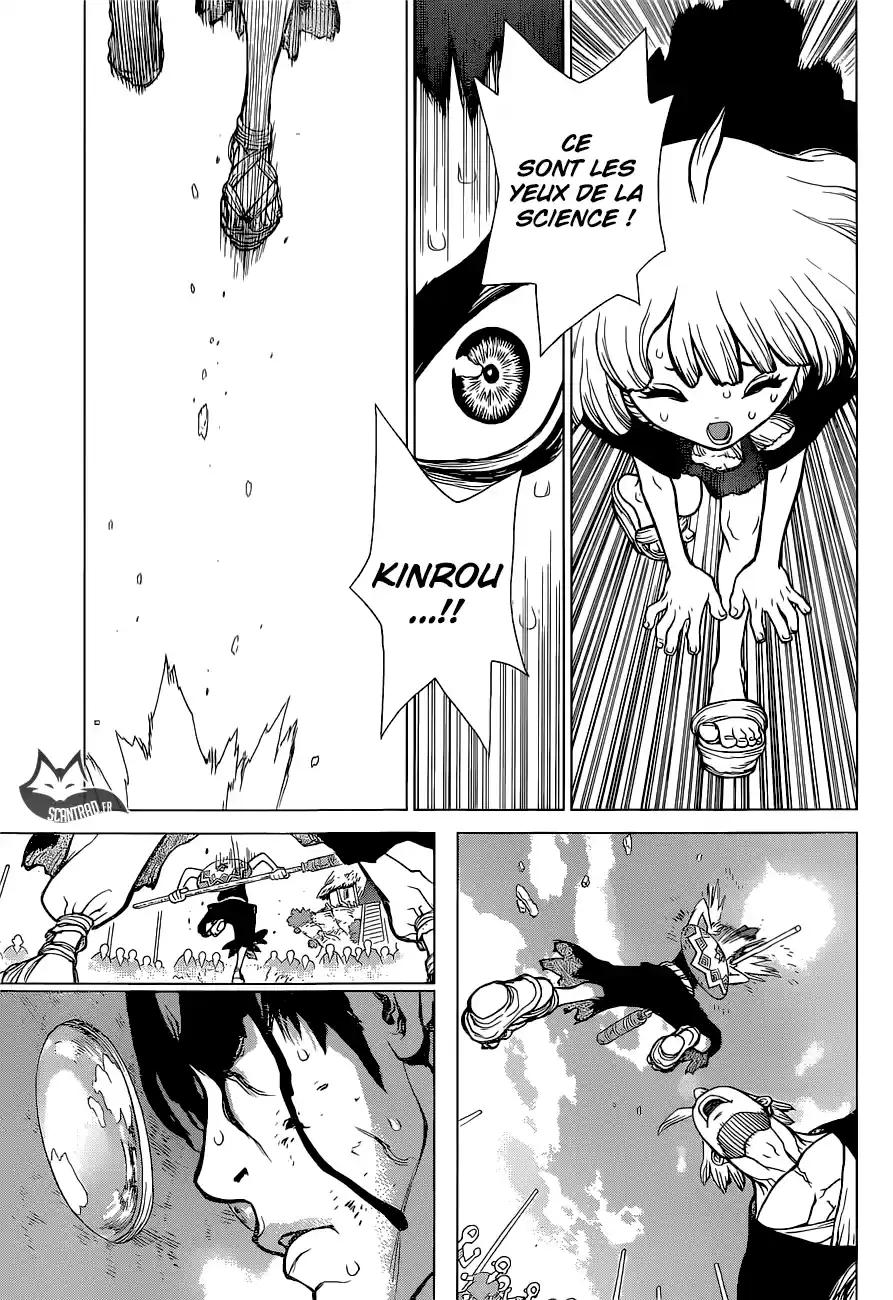 Read Dr. Stone FR Manga Online