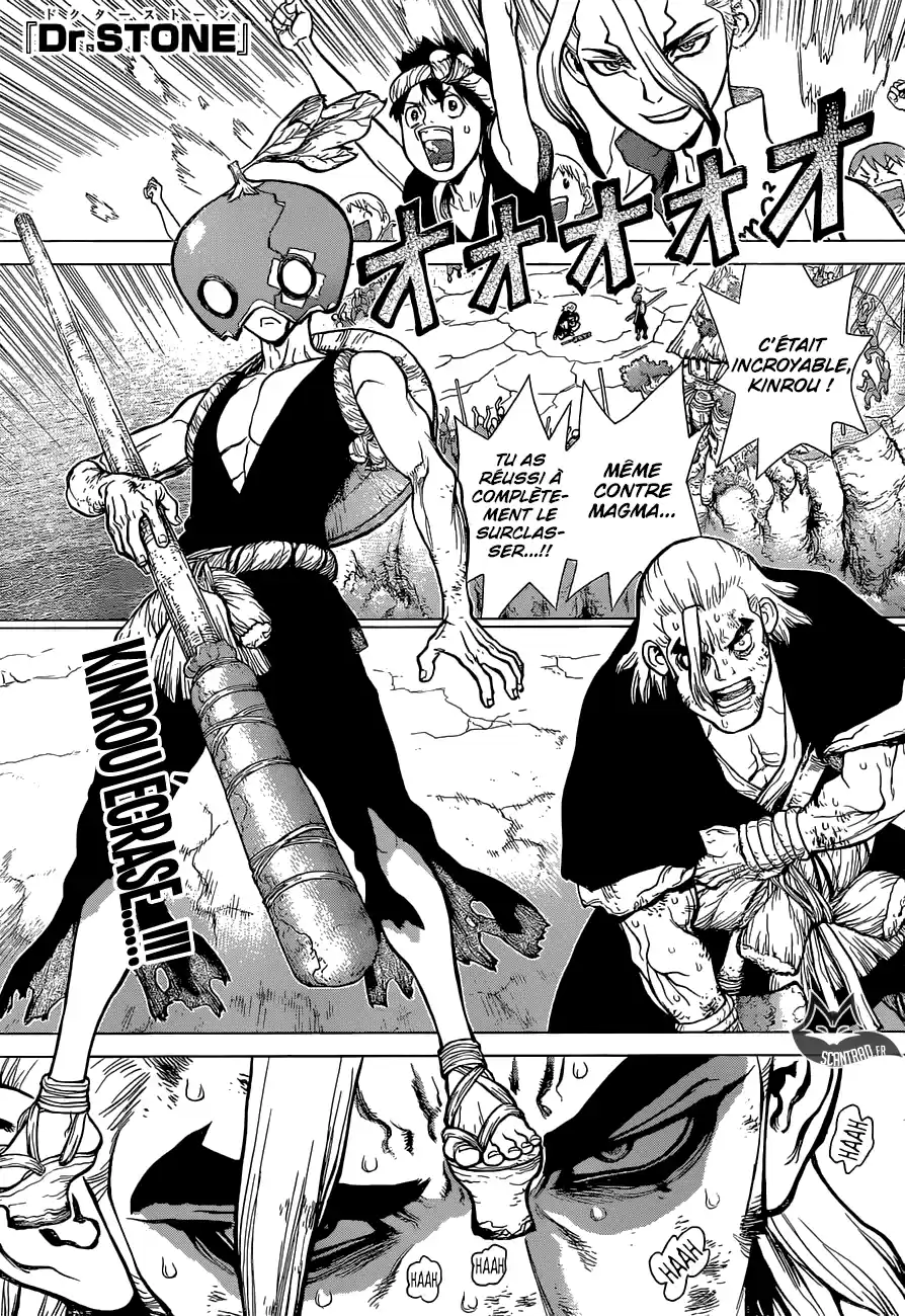 Read Dr. Stone FR Manga Online