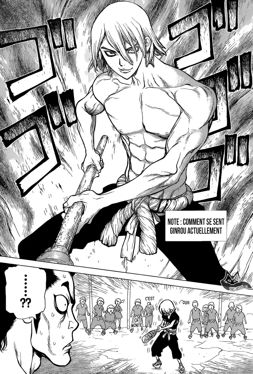 Read Dr. Stone FR Manga Online