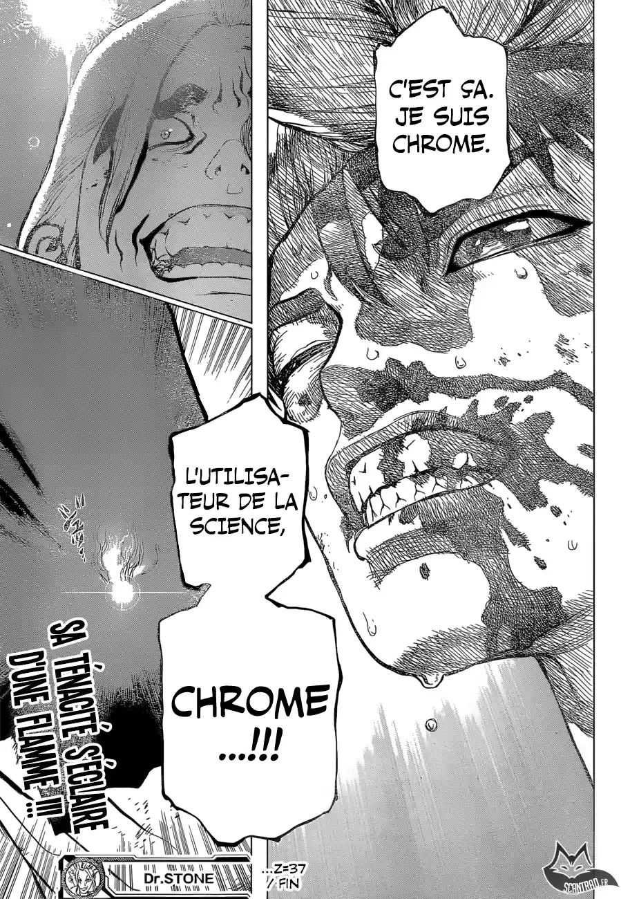 Read Dr. Stone FR Manga Online