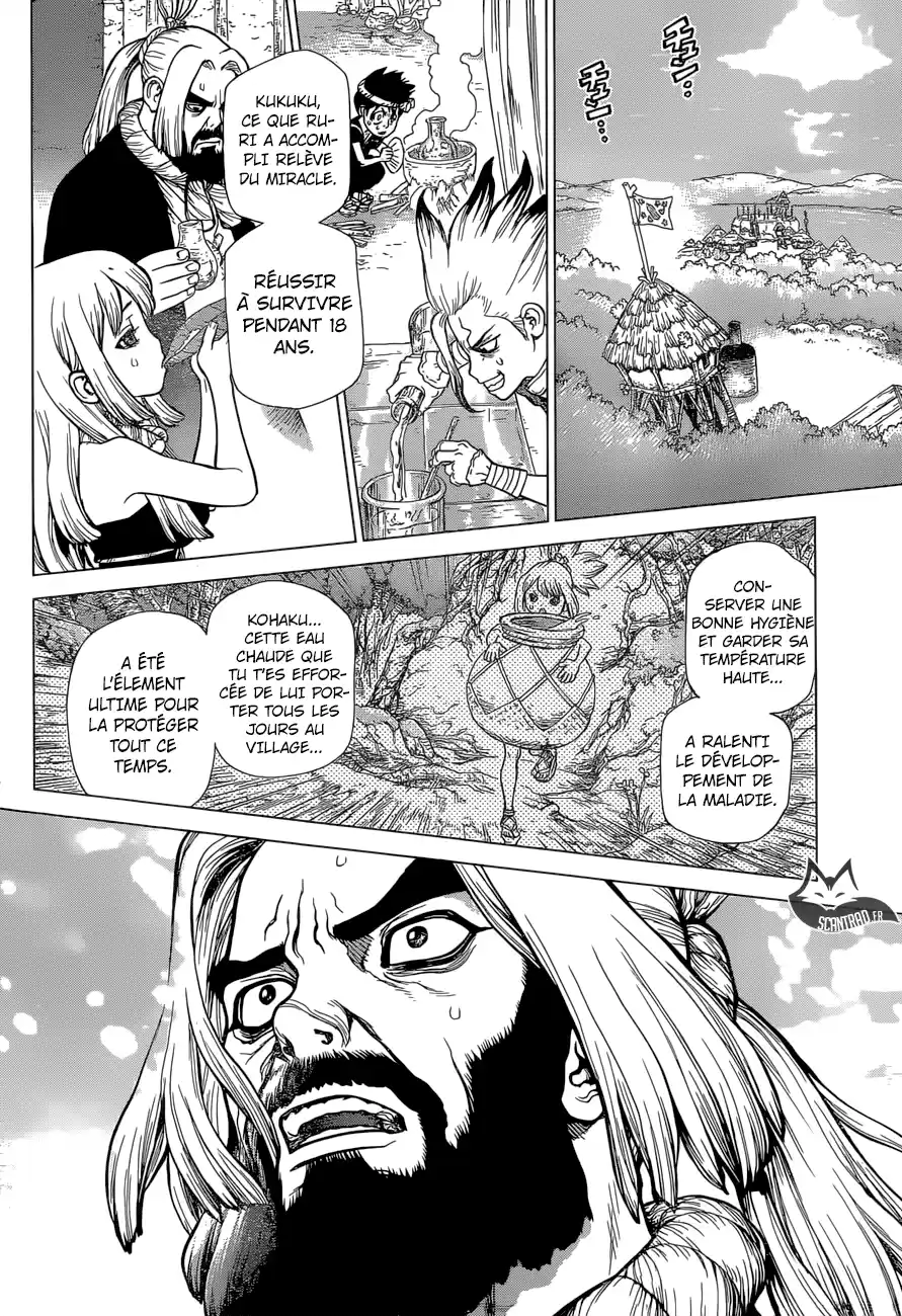 Read Dr. Stone FR Manga Online