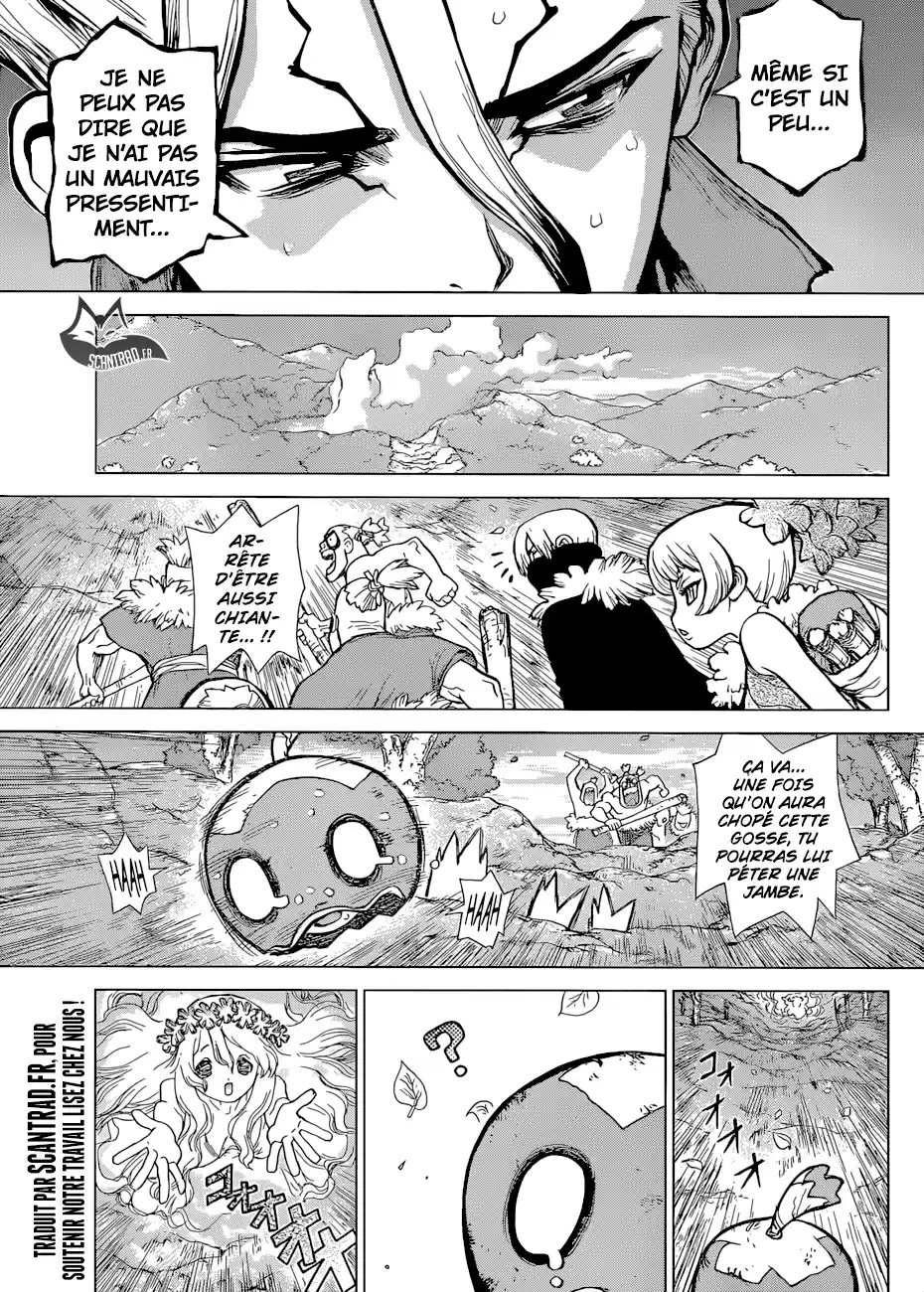 Read Dr. Stone FR Manga Online