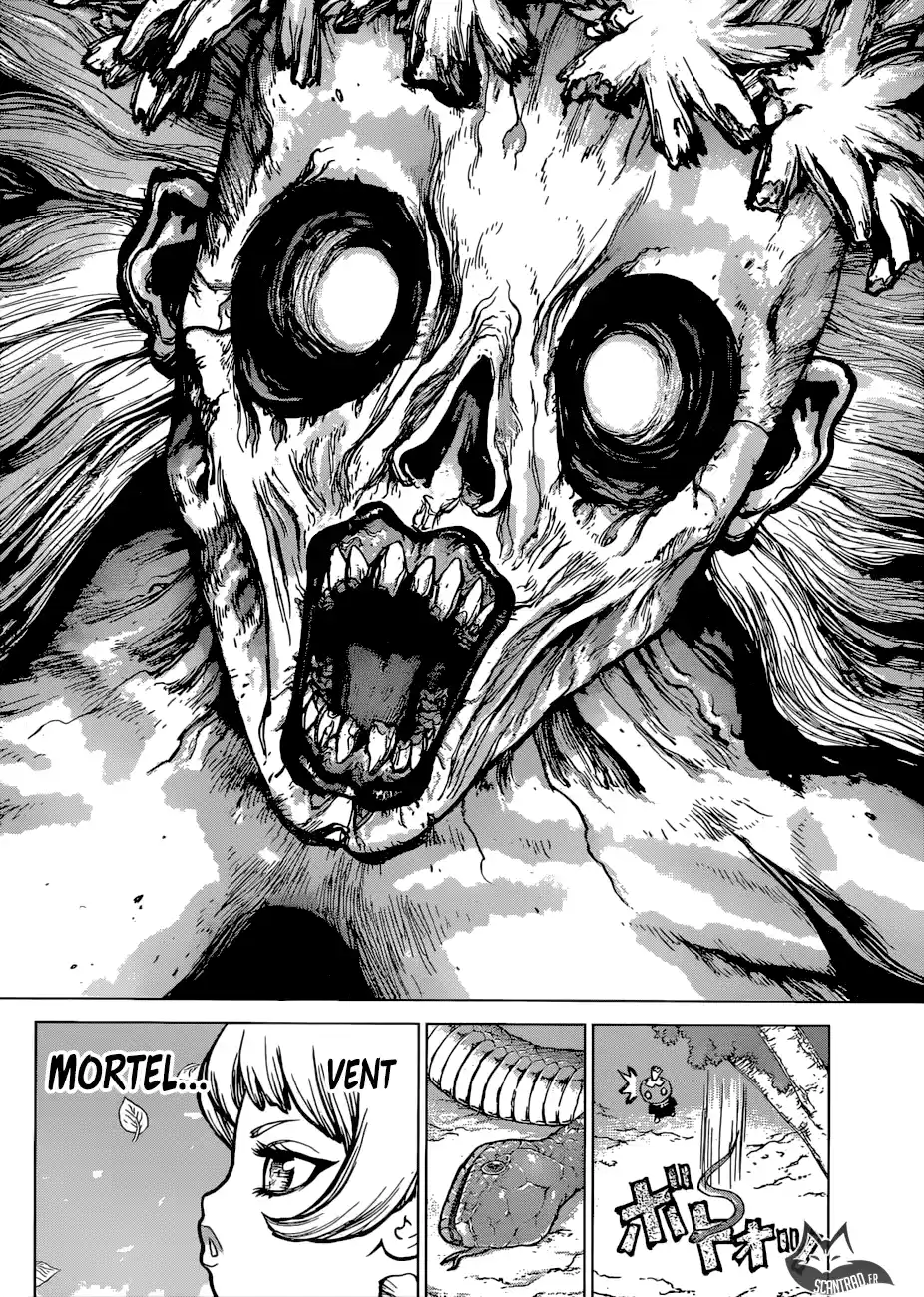 Read Dr. Stone FR Manga Online