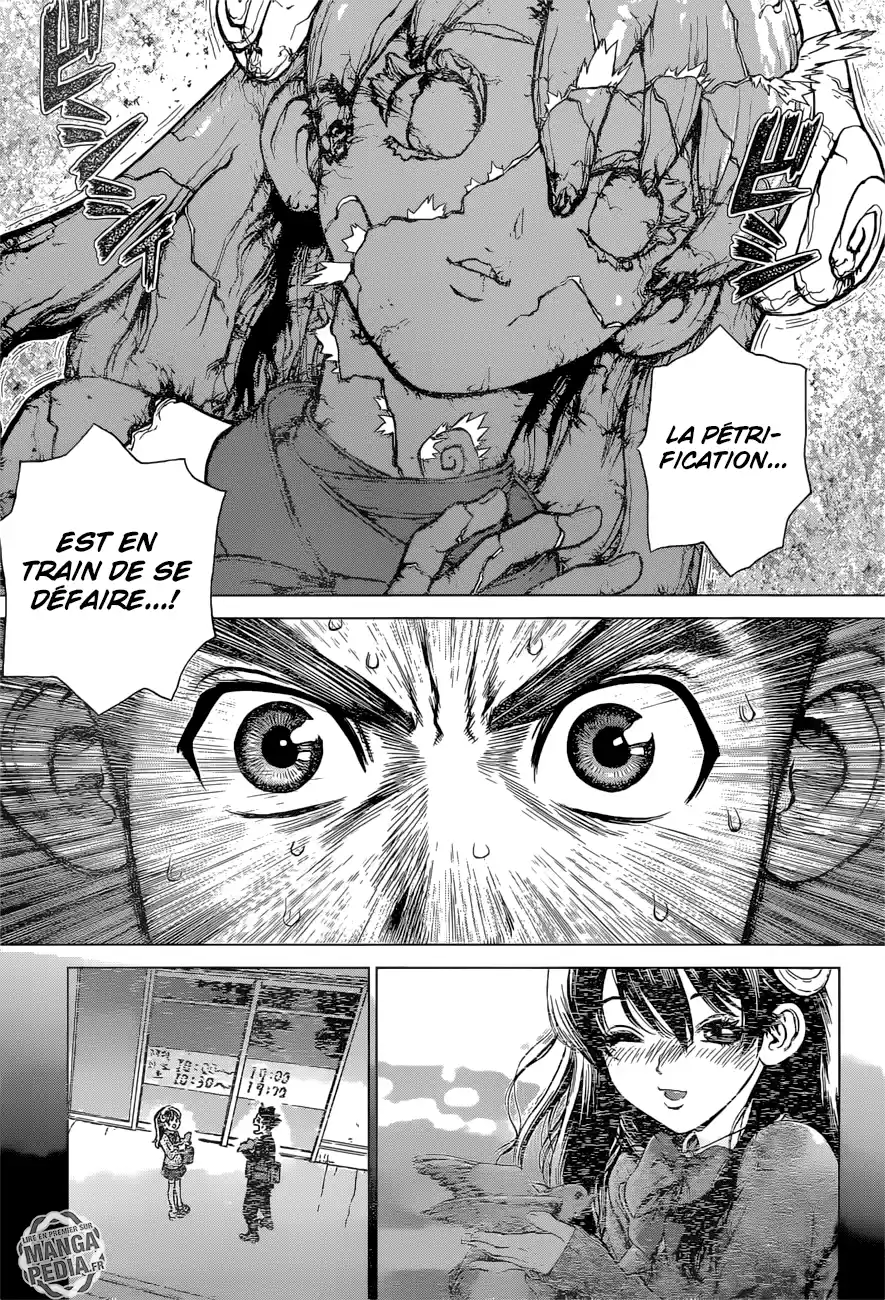 Read Dr. Stone FR Manga Online