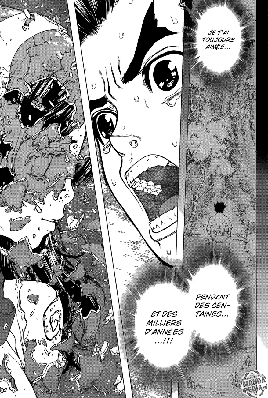 Read Dr. Stone FR Manga Online