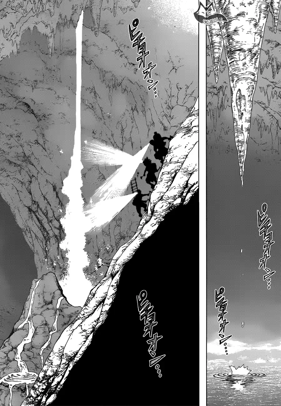 Read Dr. Stone FR Manga Online