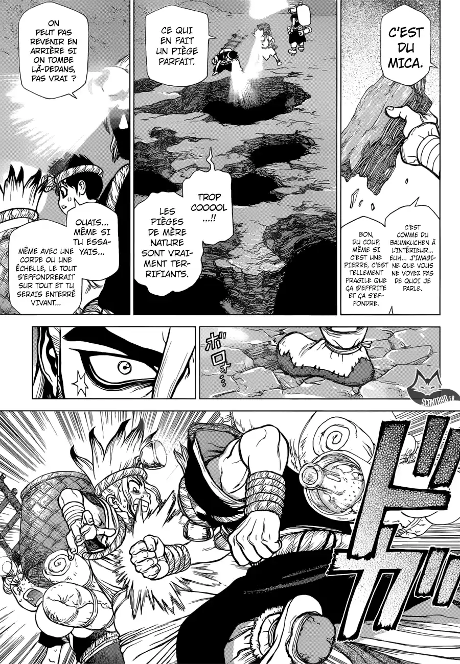 Read Dr. Stone FR Manga Online