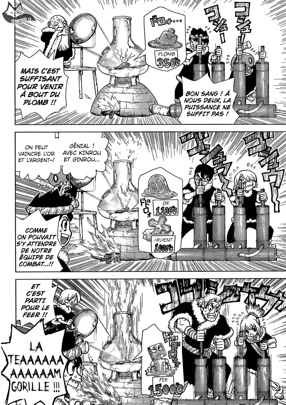 Read Dr. Stone FR Manga Online