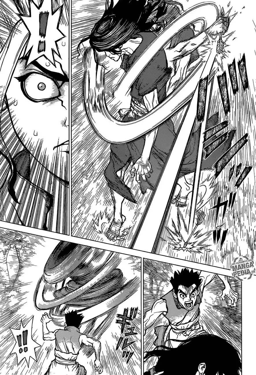 Read Dr. Stone FR Manga Online